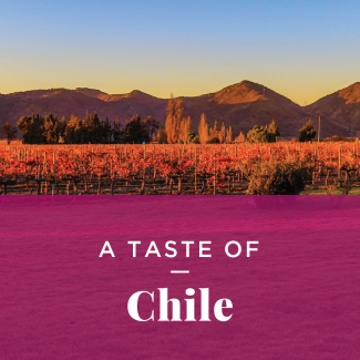 A vineyard at sunset with mountains in the background. Text: Taste of Chile